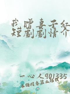 我赠妻子红缨枪短剧剧情介绍