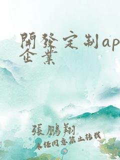 开发定制app企业