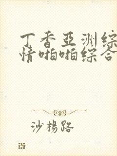 丁香亚洲综合激情啪啪综合