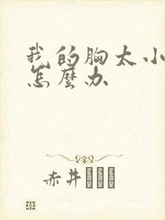 我的胸太小了该怎么办