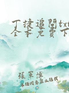 丁捷追问txt全本免费下载