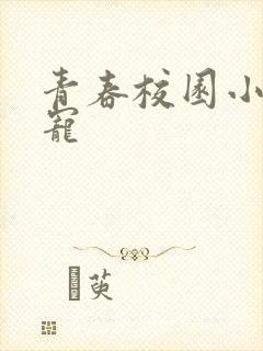 青春校园小说甜宠