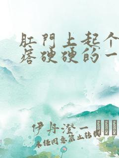 肛门上起个大疙瘩硬硬的一摸就痛