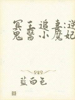 冥王追妻:逆天鬼医小魔妃