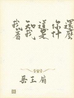 我知道你还是爱着我是什么歌