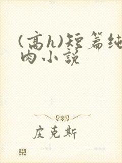 (高h)短篇纯肉小说