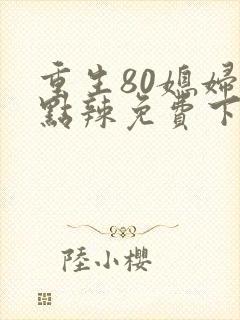 重生80媳妇有点辣免费下载