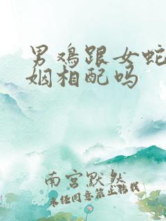 男鸡跟女蛇的婚姻相配吗