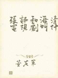 张译和海清演的电视剧叫什么名