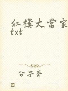 红楼大当家全文txt