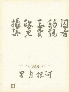 摄政王的囚凰全集免费观看