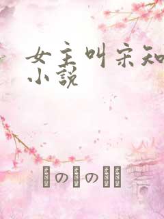 女主叫宋知鸢的小说