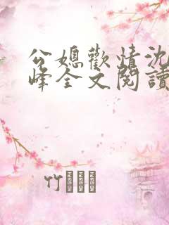 公媳欢情沈曼江峰全文阅读