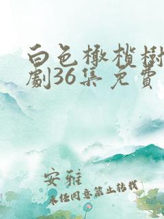 白色橄榄树电视剧36集免费观看
