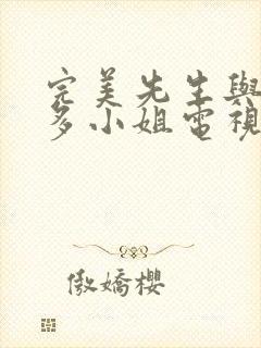 完美先生与差不多小姐电视剧免费
