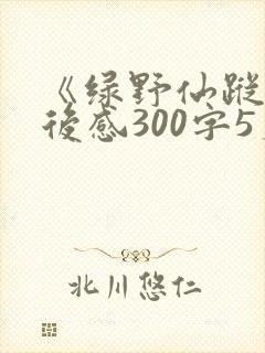 《绿野仙踪》读后感300字5篇