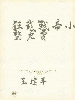 狂武战帝小说完整免费