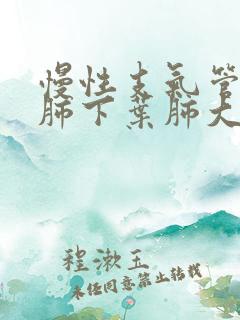 慢性支气管炎左肺下叶肺大泡