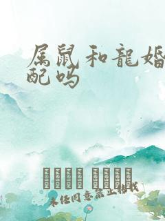 属鼠和龙婚姻相配吗