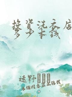 投资洗衣店需要多少本钱