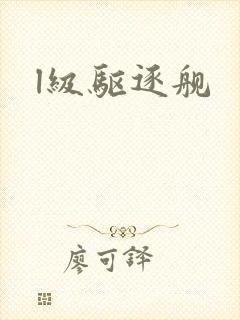 l级驱逐舰