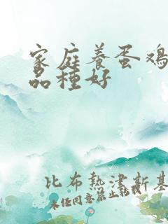 家庭养蛋鸡什么品种好