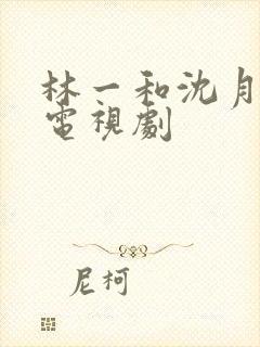 林一和沈月演的电视剧