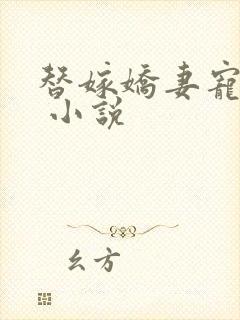 替嫁娇妻宠上瘾 小说