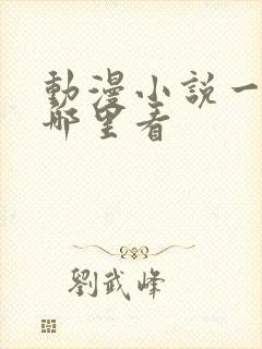动漫小说一般在哪里看