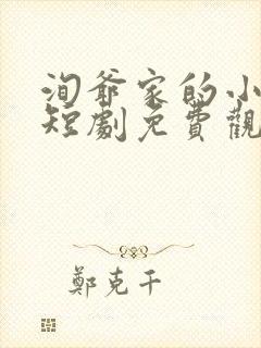 洵爷家的小祖宗短剧免费观看
