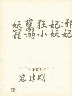 妖孽狂妃:邪君宠溺小妖妃