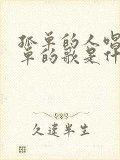 孤单的人唱着孤单的歌是什么歌曲