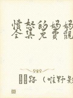 愤怒的妈妈韩剧全集免费观看