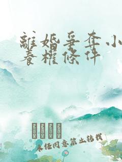 离婚争夺小孩抚养权条件