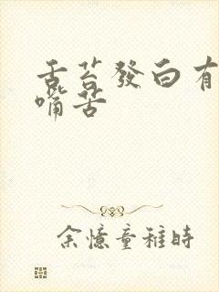 舌苔发白有齿痕嘴苦