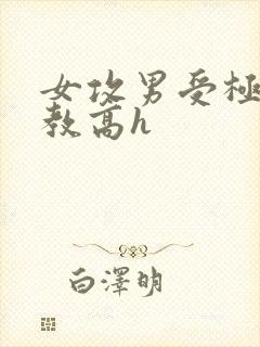 女攻男受极限调教高h