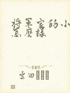 将军家的小娘子怎么样