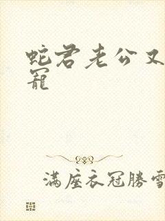 蛇君老公又甜又宠