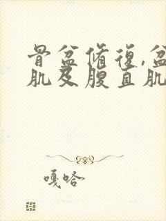 骨盆修复,盆底肌及腹直肌修复