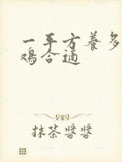 一平方养多少只鸡合适