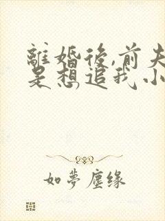 离婚后,前夫总是想追我小说