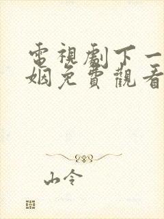 电视剧下一站婚姻免费观看全集剧情
