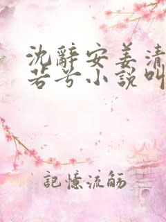 沈辞安姜清语乔若兮小说叫什么名字