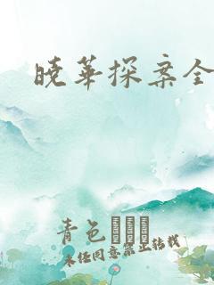 晓华探案全集