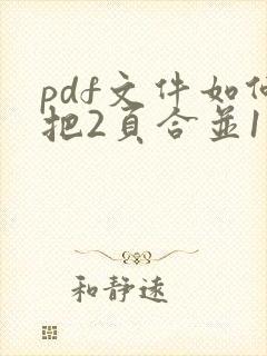 pdf文件如何把2页合并1页
