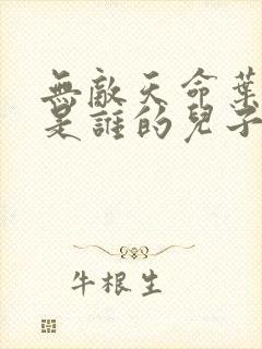 无敌天命叶天命是谁的儿子