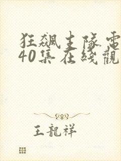 狂飙支队电视剧40集在线观看免费