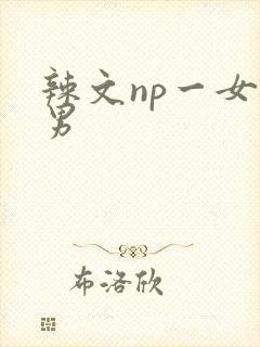 辣文np一女多男