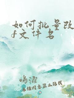 如何批量改pdf文件名