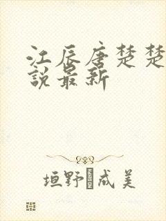江辰唐楚楚的小说最新